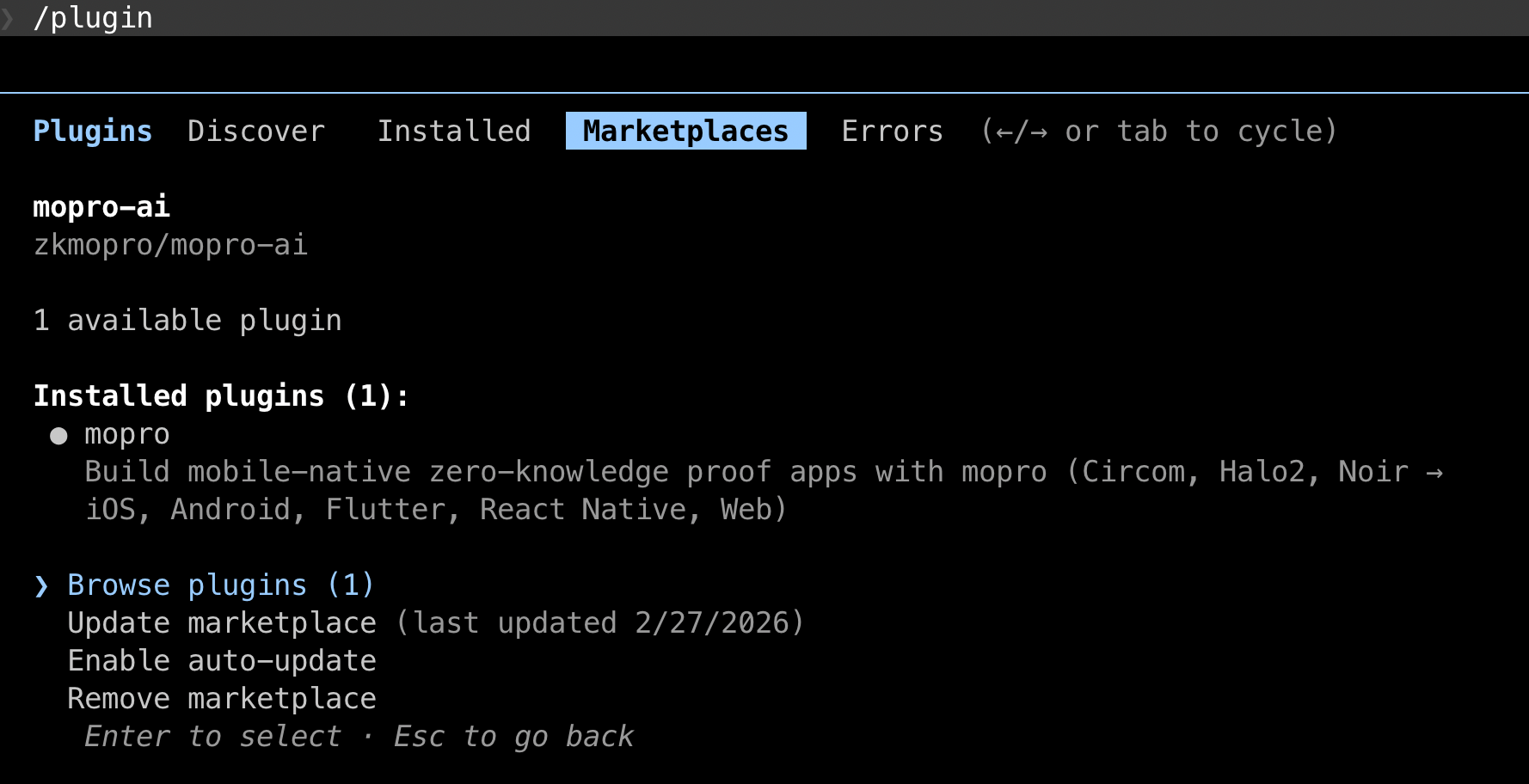 The ZK Model Proofs Playbook