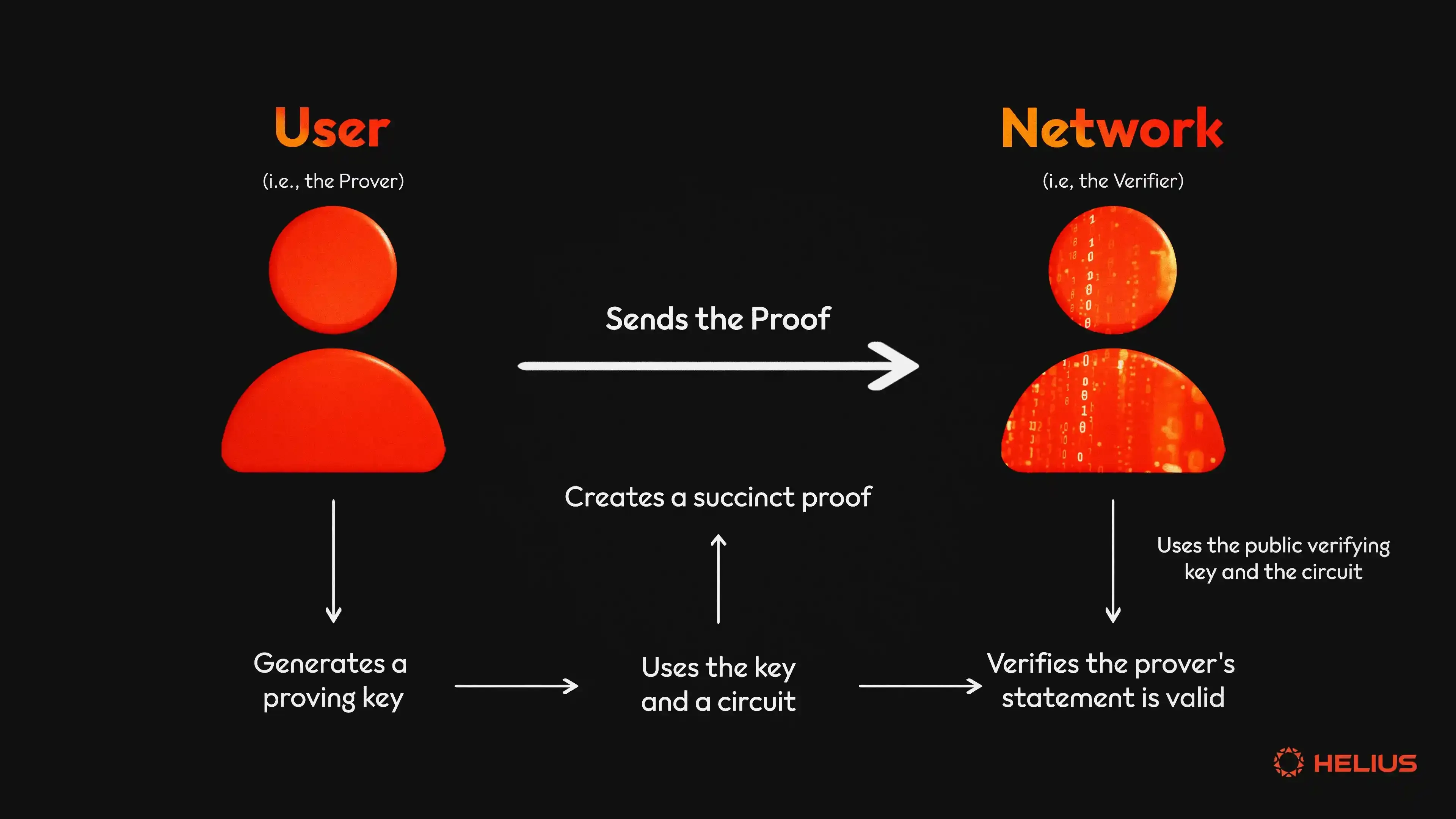 ZK Model Proofs in