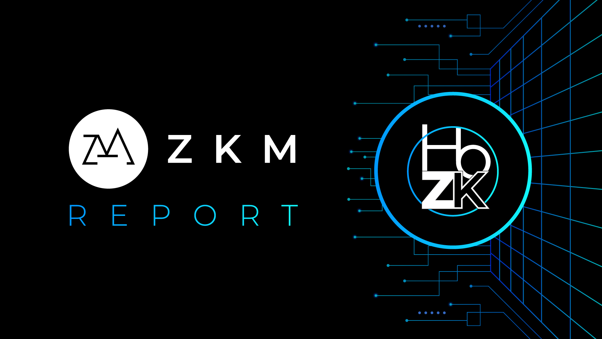 Brevis zkVM AI privacy preservation